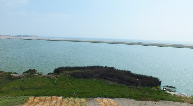 Albufera de Medio Mundo