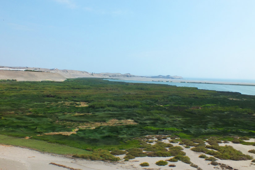 Albufera de Medio Mundo