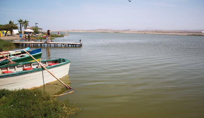 Albufera de Medio Mundo