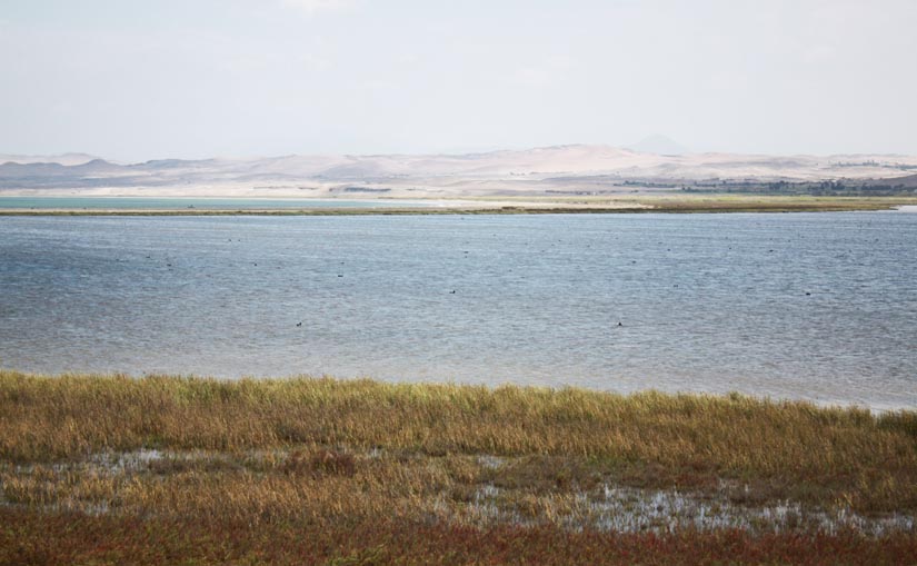 Albufera de Paraíso