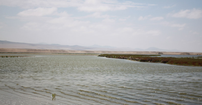 Albufera de Paraíso