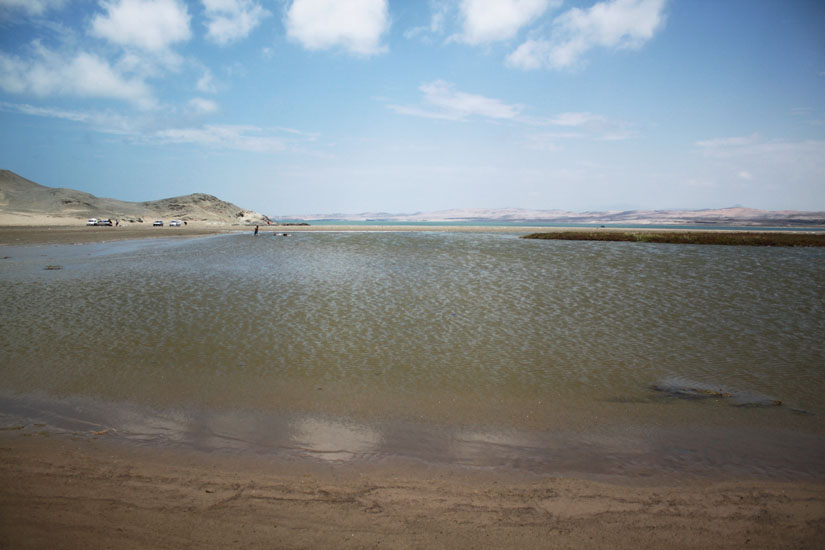 Albufera de Paraíso