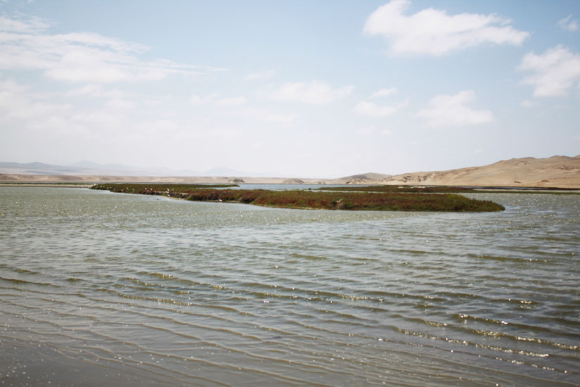Albufera de Paraíso
