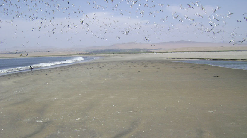 Albufera de Paraíso